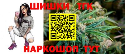 гашик Сланцы