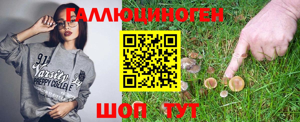 Галлюциногенные грибы Magic Shrooms  Вход с VPN  Новоуральск  Галлюциногенные грибы прущие грибы 